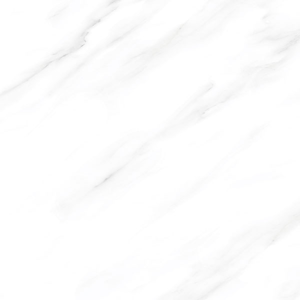 爵士白KYP8101單品